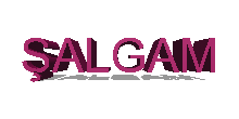 salgam